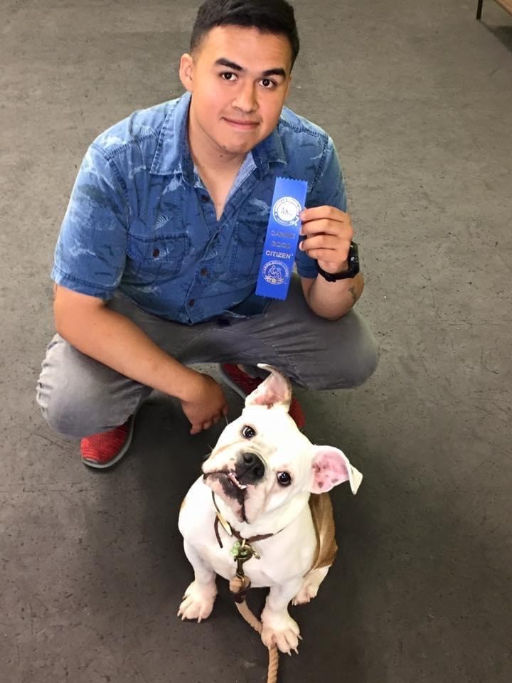 Young man with white bulldog holding Canine Good Citizen ribbon