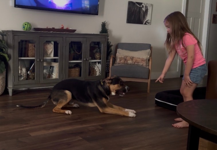 Ella — owner holding graduation certificate with dog at Haven banner