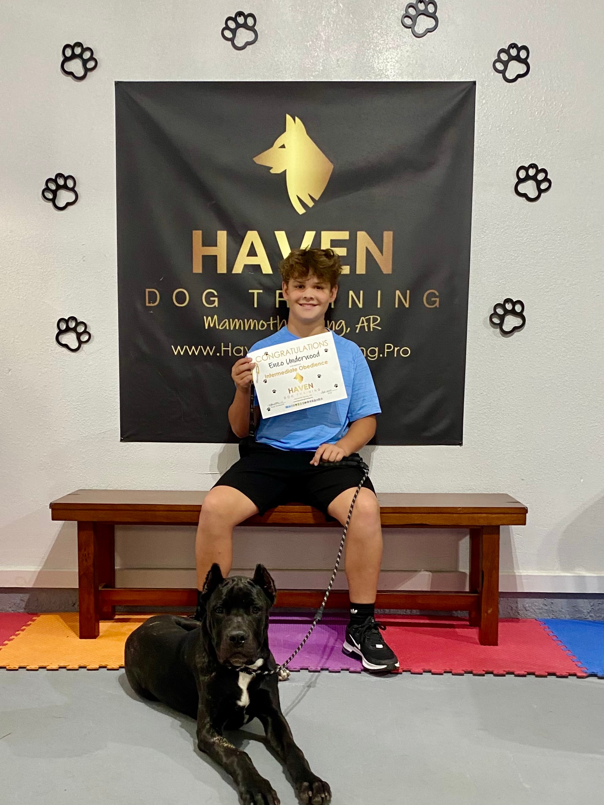 Enzo Underwood — Intermediate Obedience graduate