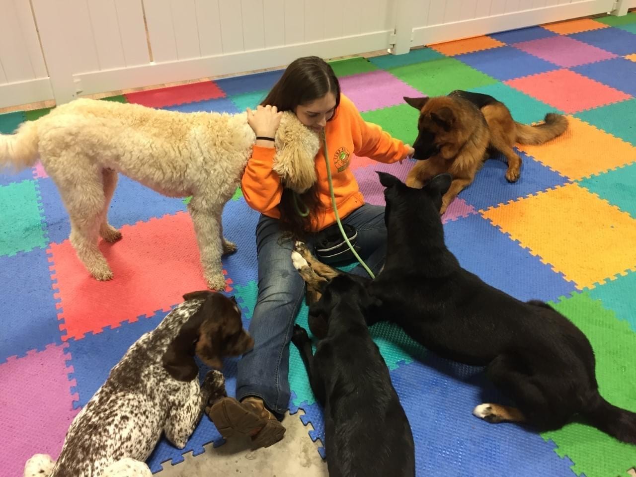 Trainer surrounded by dogs on colorful mat