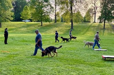 Group obedience class with handlers and dogs walking in park