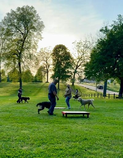 Group obedience class with handlers and dogs heeling in park