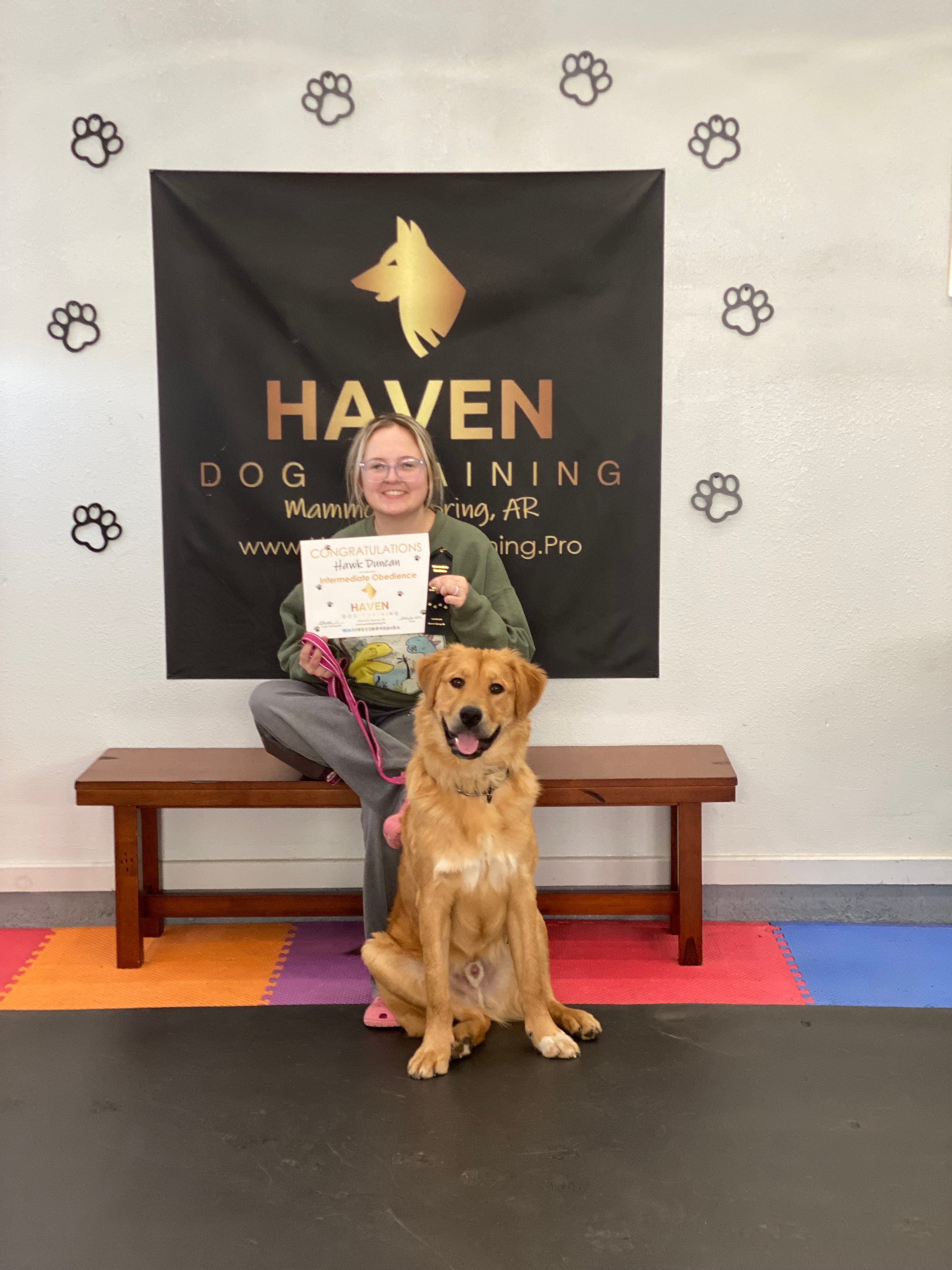 Hawk — Haven Dog Training graduate