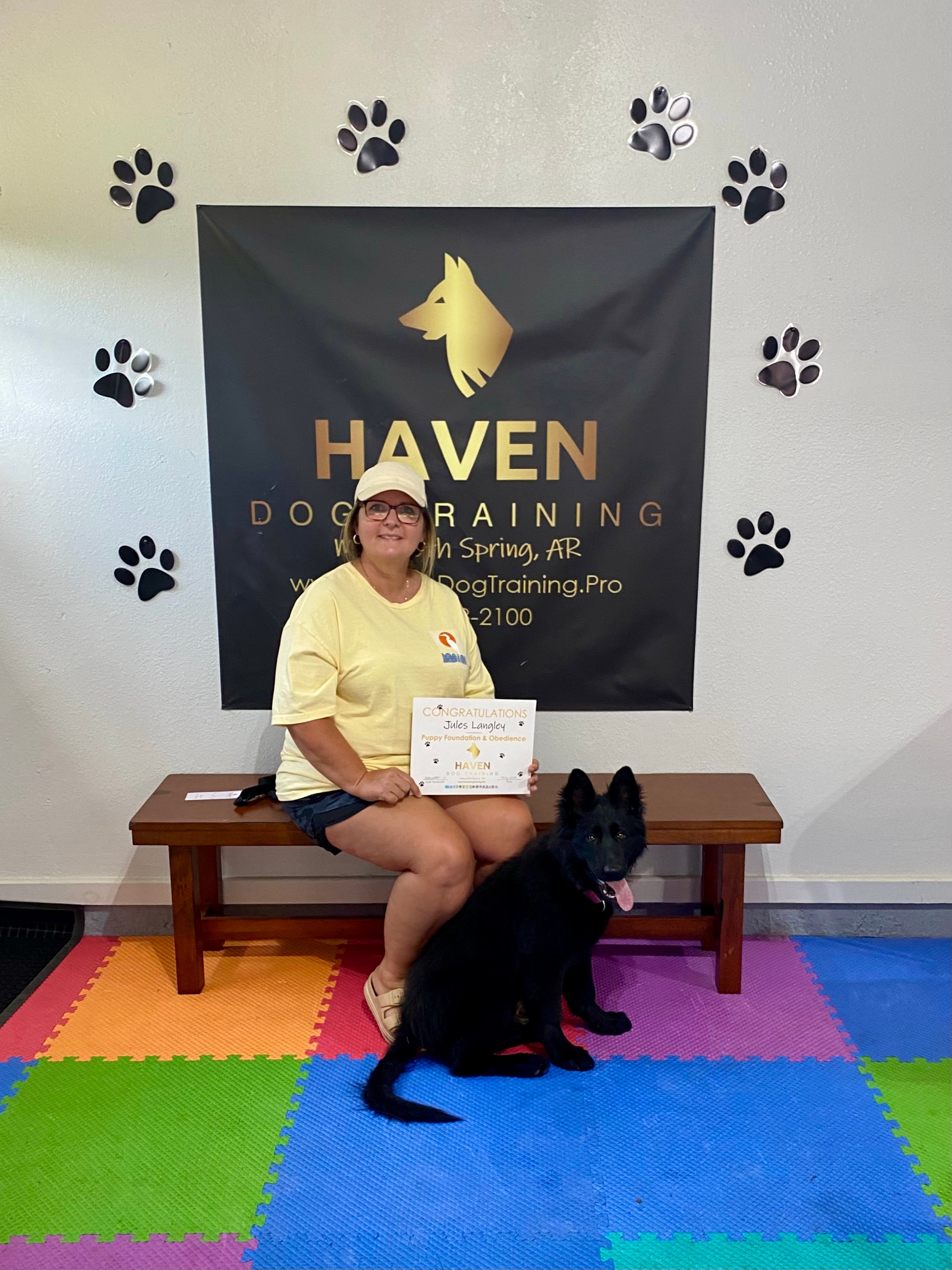 Jules — dog posing during training session at Haven