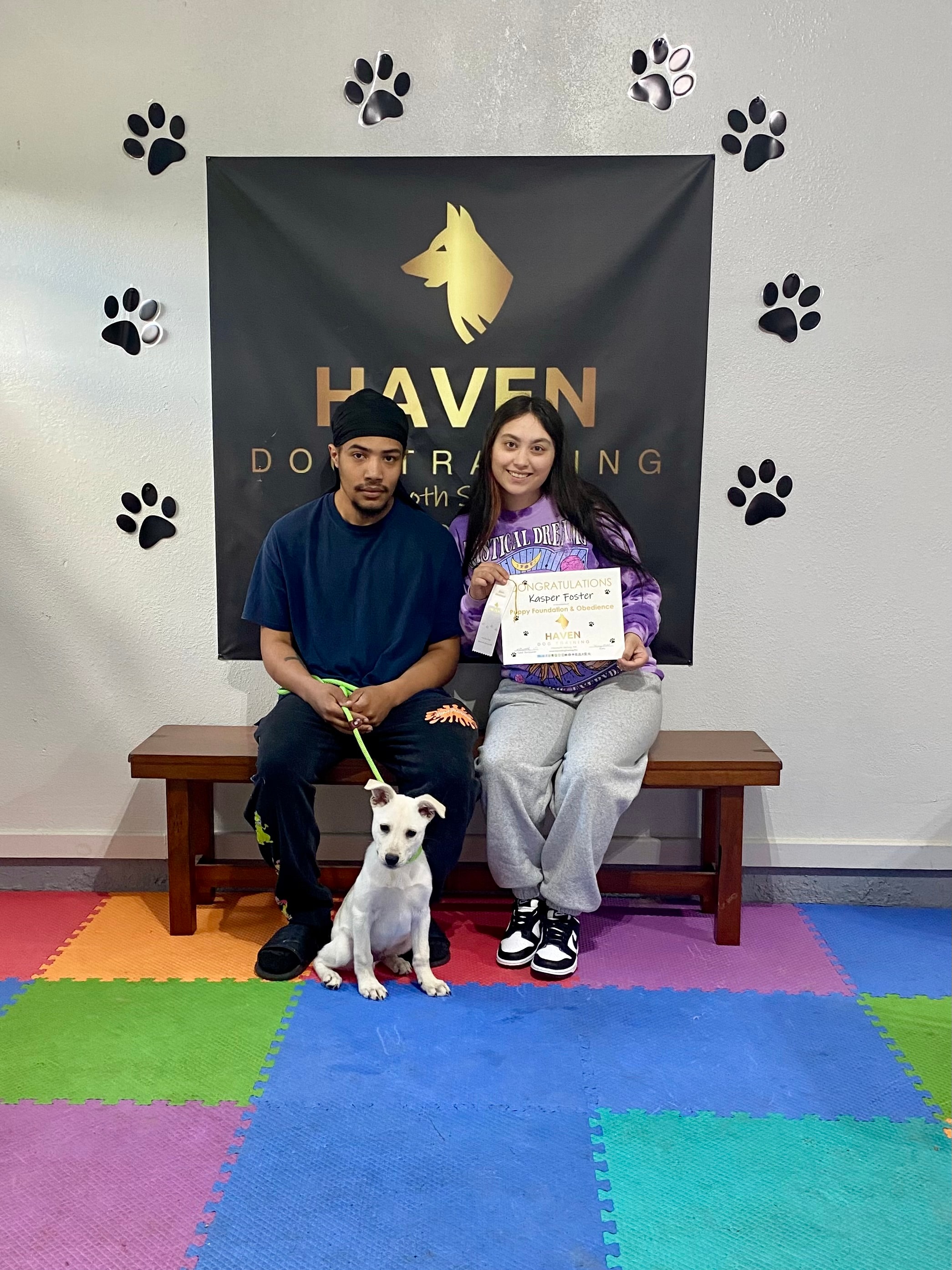 Kasper — Puppy Foundation & Obedience graduate