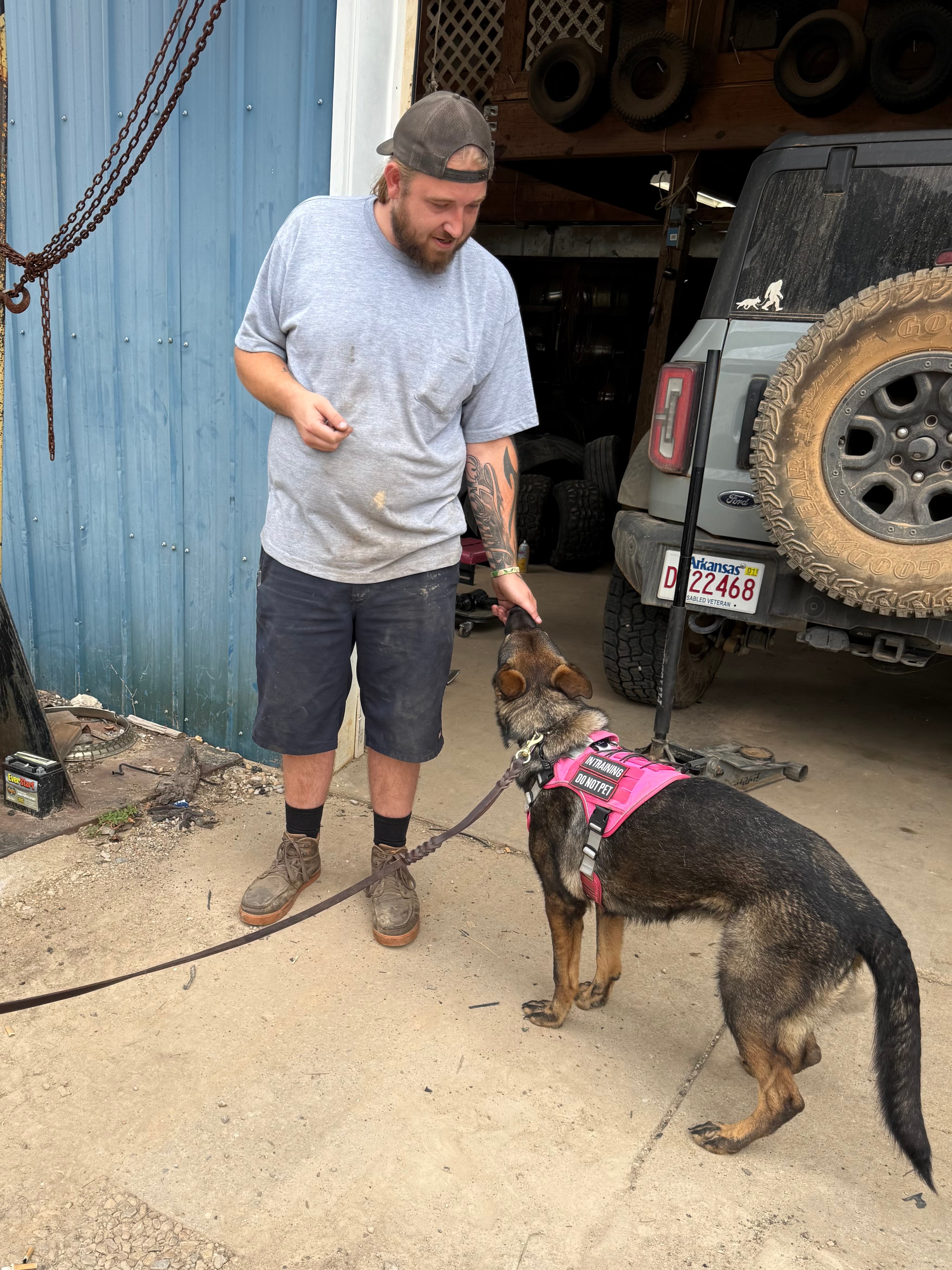 Kimber — German Shepherd greeting a stranger calmly during public access training