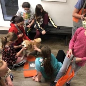 Therapy dog visit with children