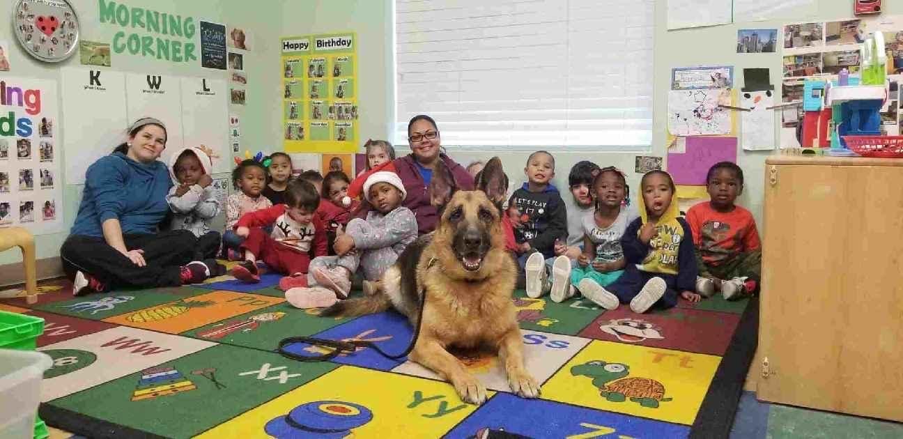 Murphy — German Shepherd visiting preschool class with teacher and students