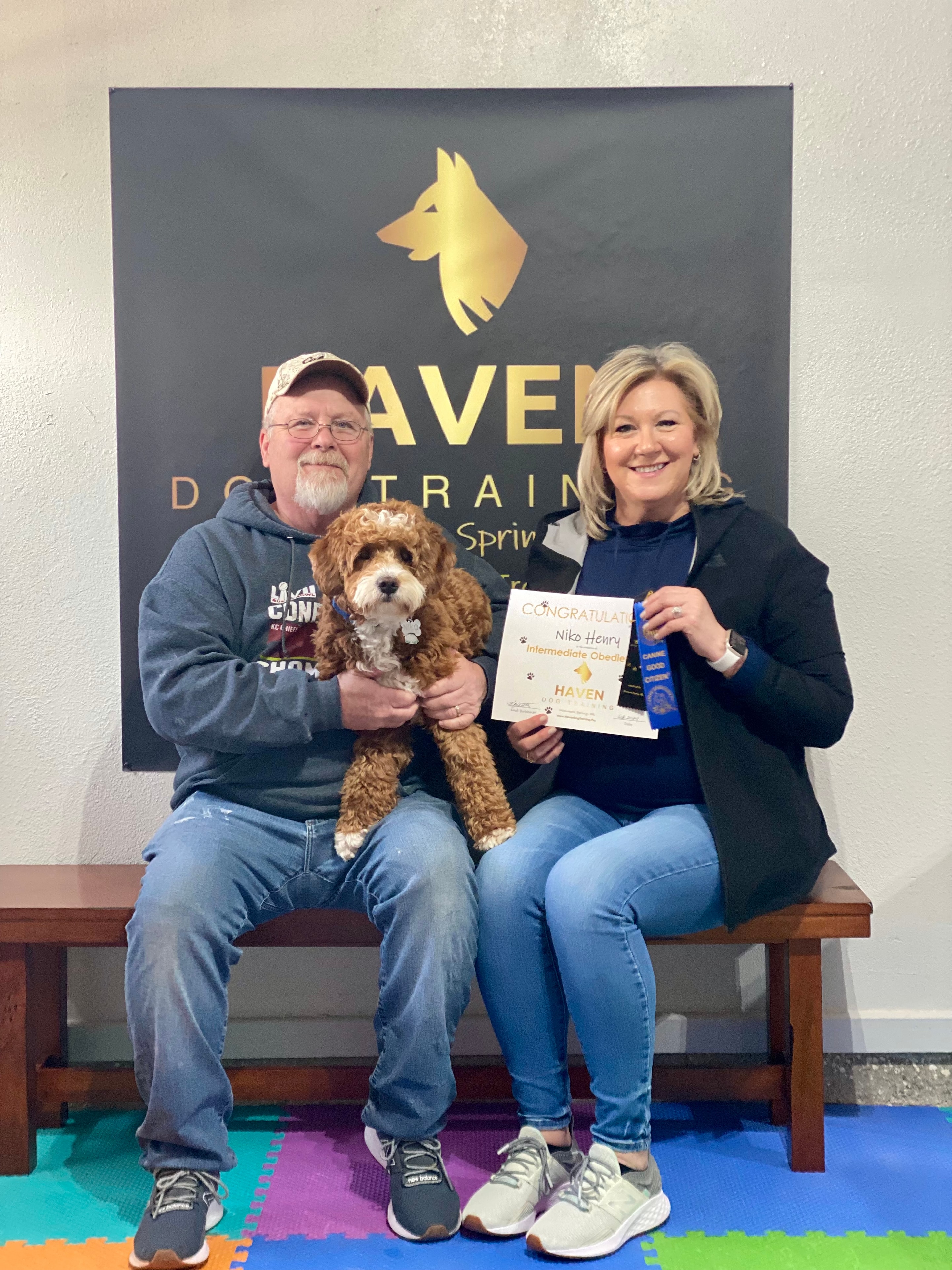 Nico — dog training session at Haven facility
