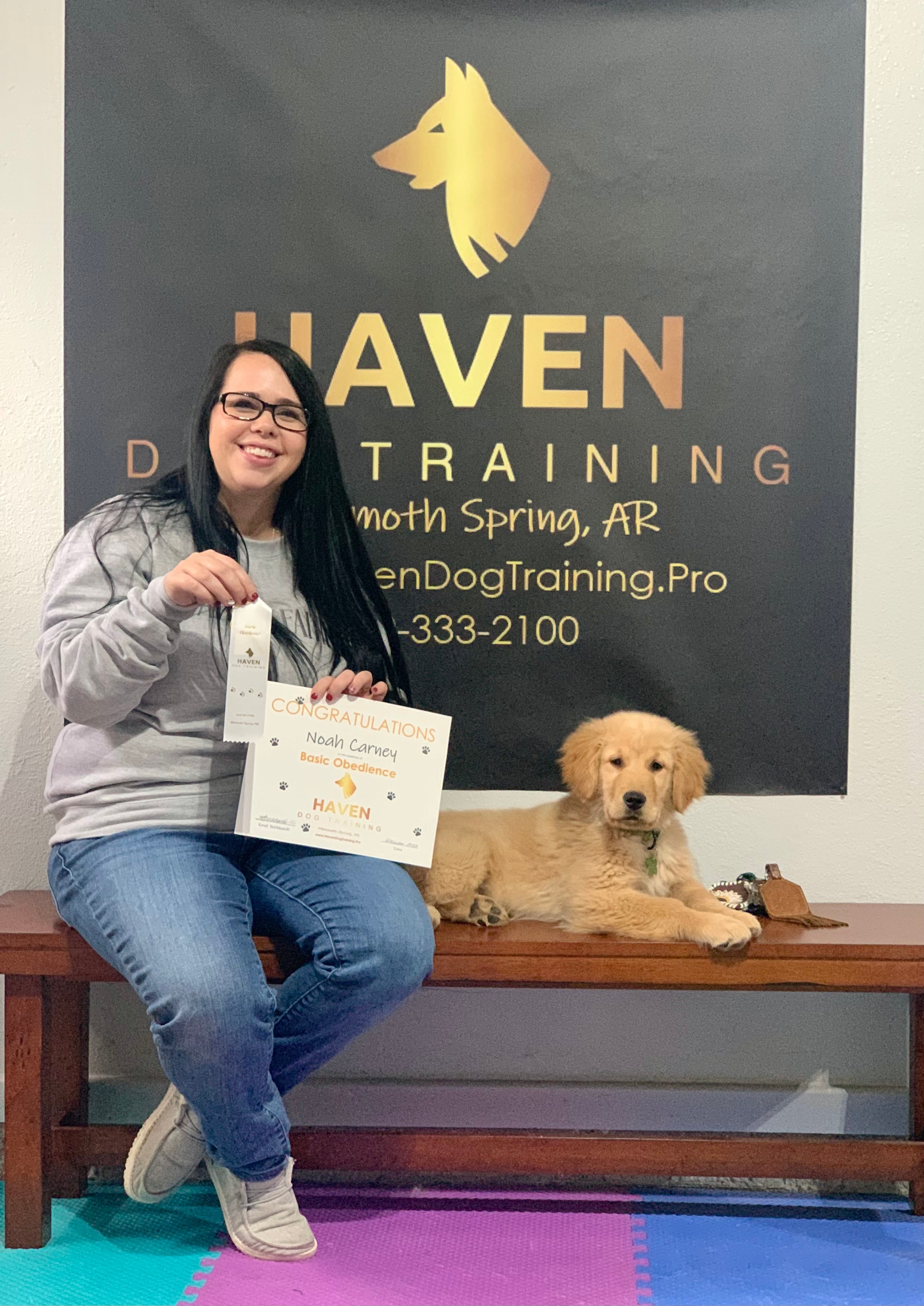 Noah — training session with handler at Haven Dog Training