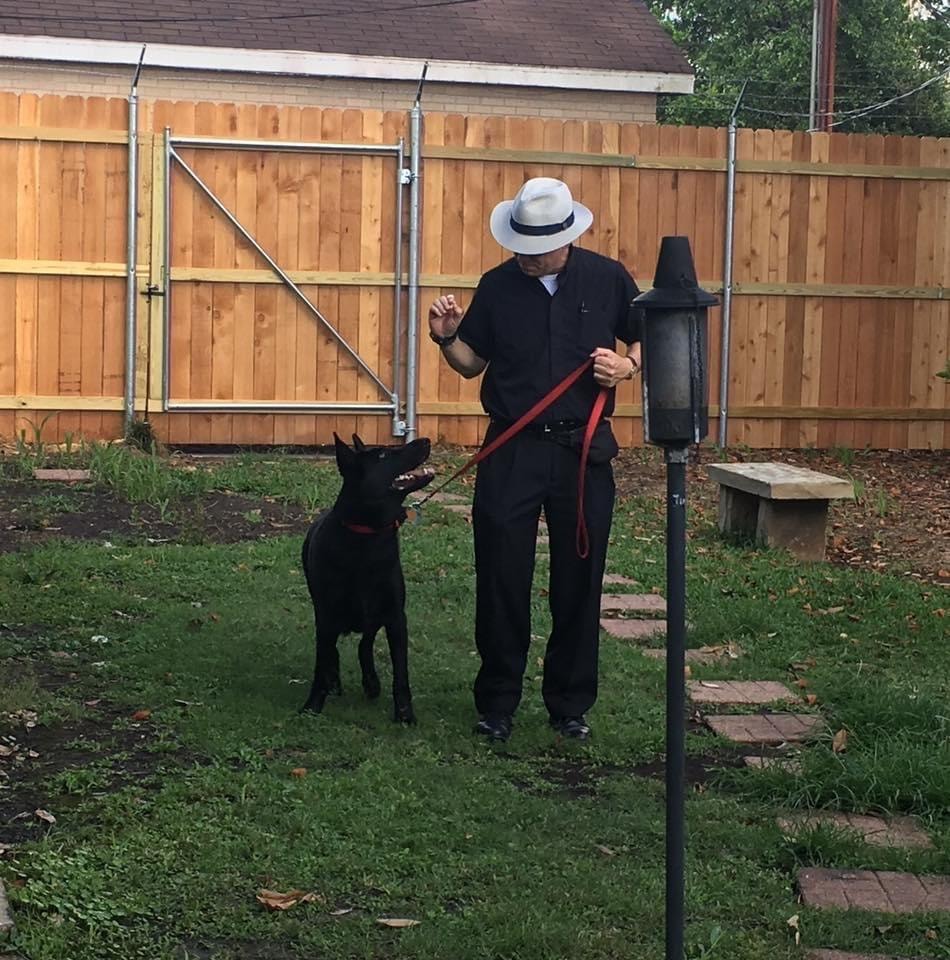 Priest — man walking black dog on leash in backyard during training