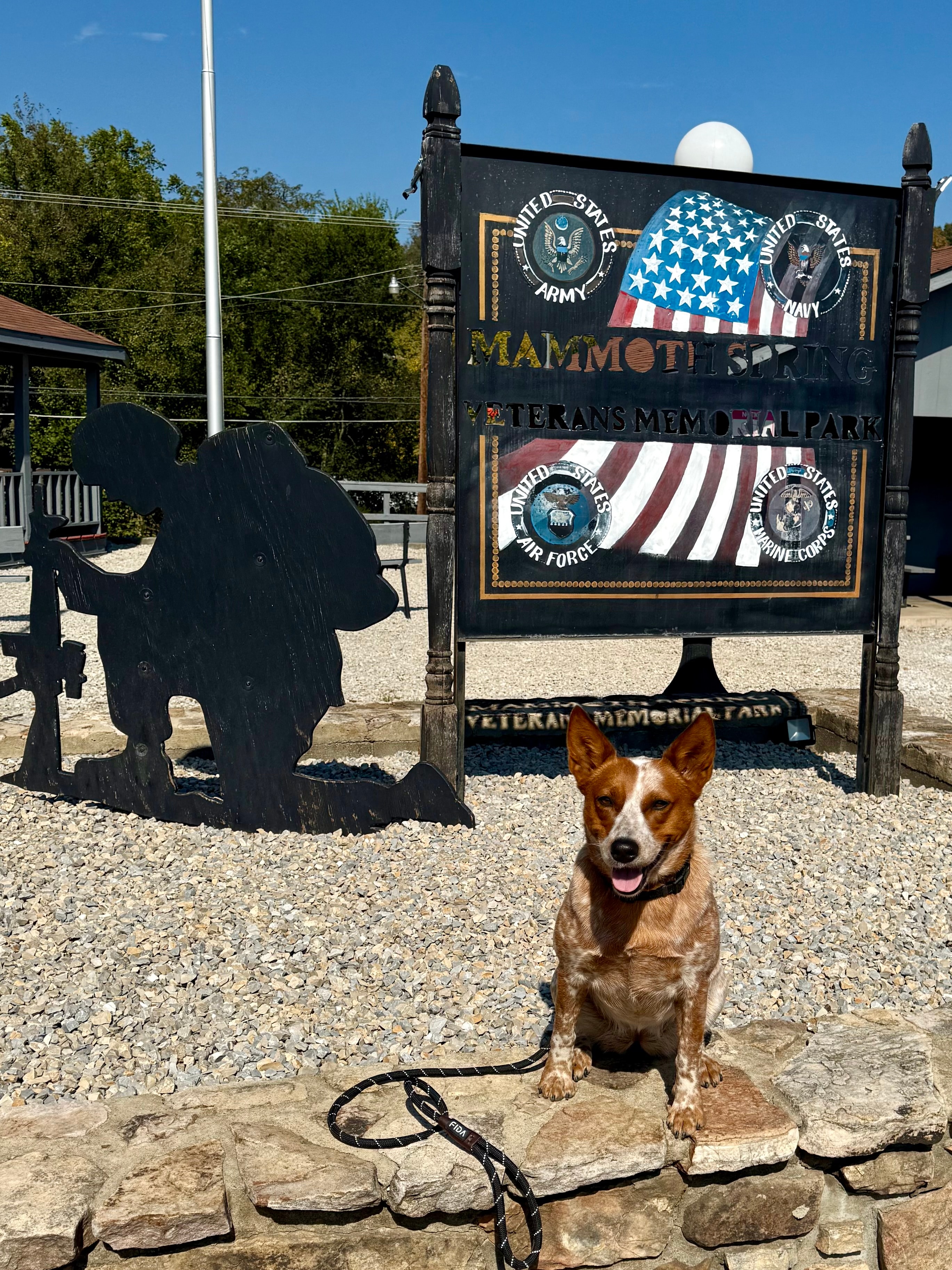 Reba — memorial tribute photo for a beloved Haven dog