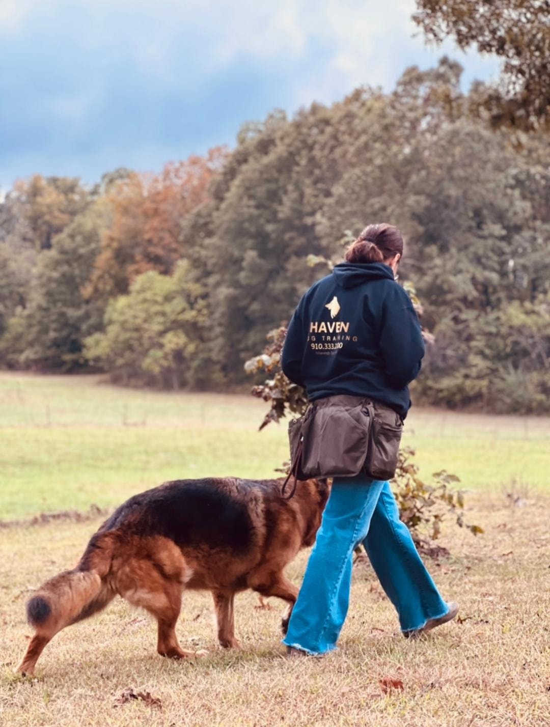 Haven trainer in branded hoodie walking German Shepherd in autumn field