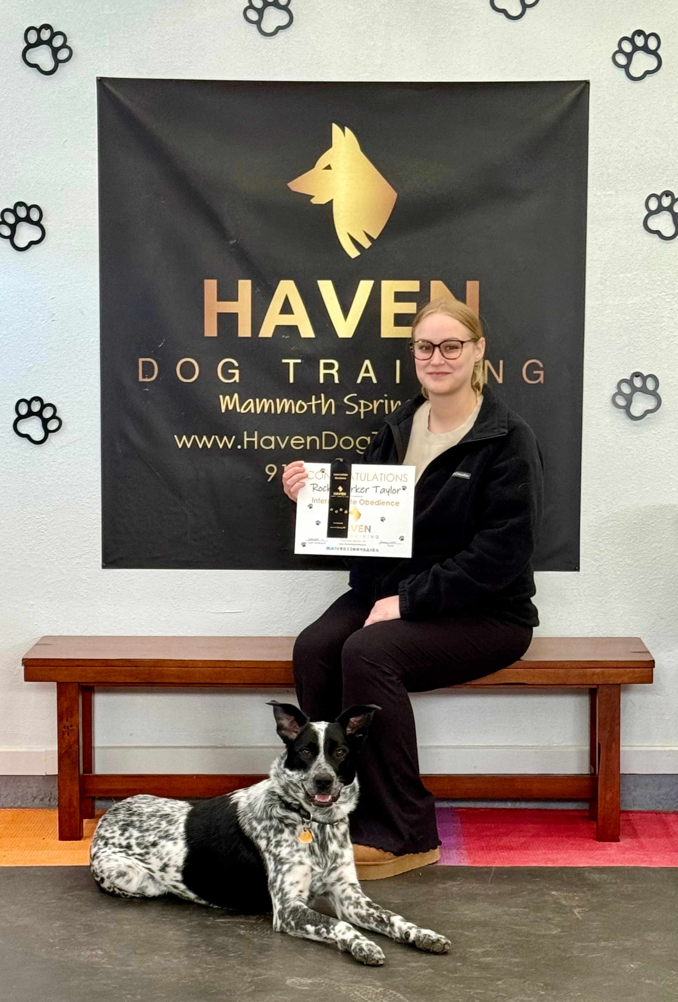 Rocky Parker Taylor — Intermediate Obedience graduate with owner and cattle dog at Haven banner