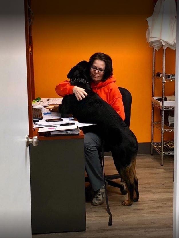 Woman at desk getting a big hug from black Rottweiler in orange office