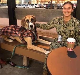 Navy service member sitting on bench with hound dog in plaid shirt outdoors