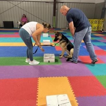 Handlers working German Shepherd on scent detection boxes during group nose work class