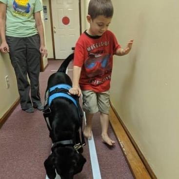 Young boy practicing commands with black service dog in training in hallway
