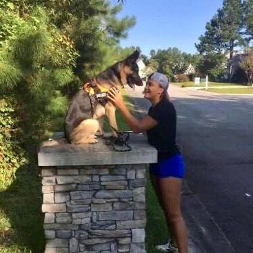 Woman with German Shepherd service dog in training sitting on stone pillar outdoors