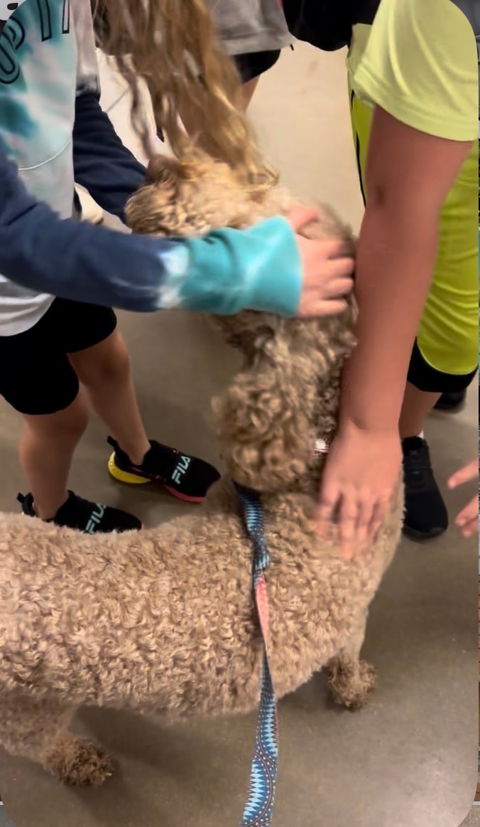 Therapy dog visit — children petting a fluffy dog on leash