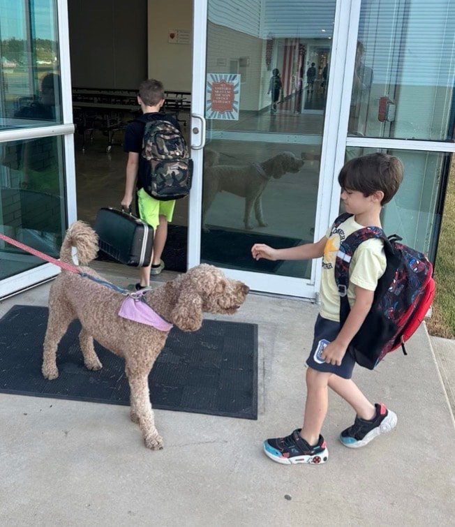 Therapy dog visit — children petting a fluffy doodle on leash in school hallway
