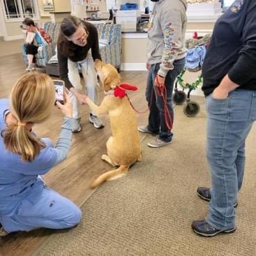 Therapy dog Yeti doing a shake with nursing staff at care facility