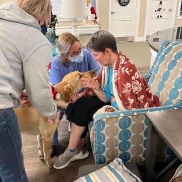 Therapy dog Yeti comforting resident in armchair at care facility