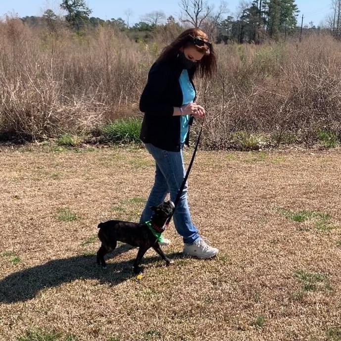 Trainer walking dog on leash outdoors