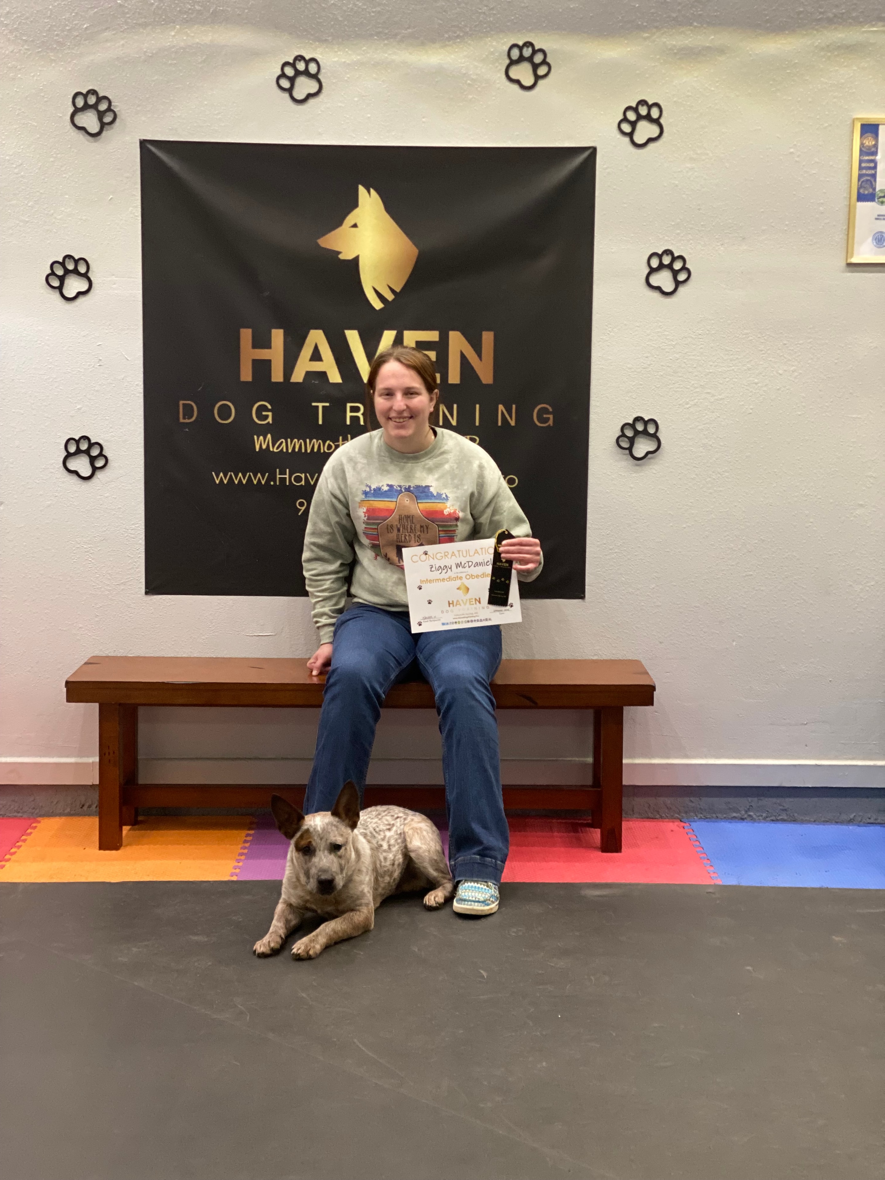 Ziggy McDaniel — Intermediate Obedience graduate with young owner at Haven banner